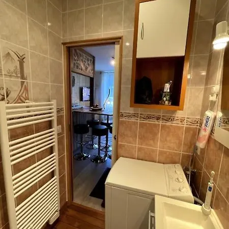 La Feessence Boisee Dore Apartman Le Mont-Dore